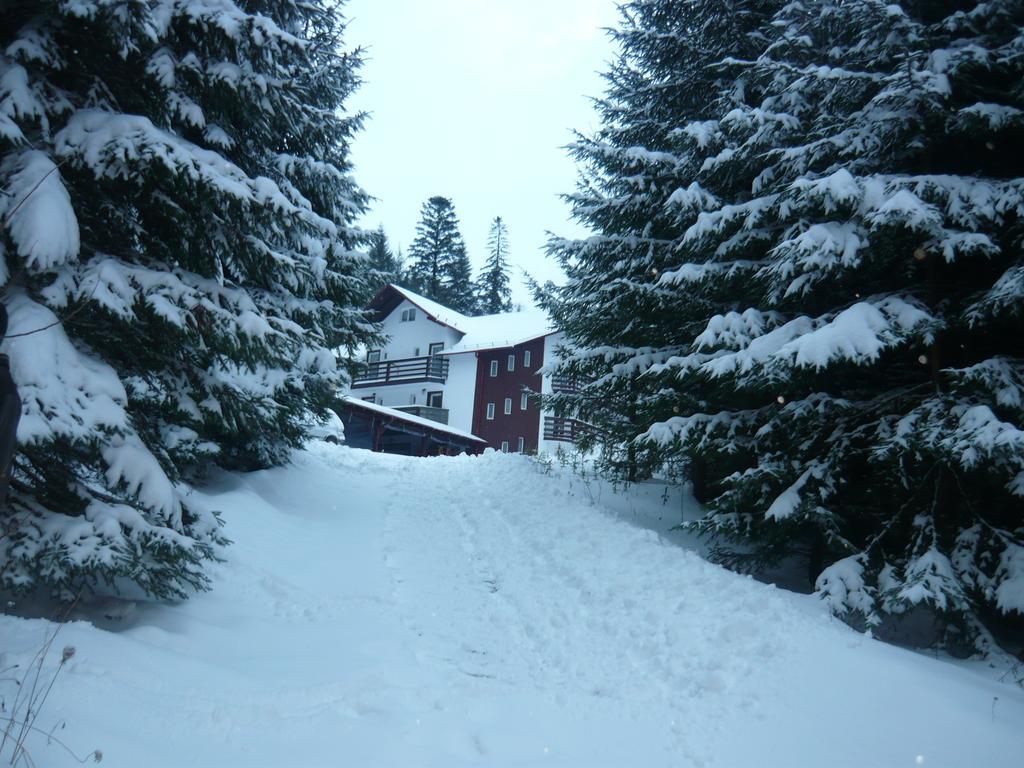 Pensiunea Silvania Statiunea Exterior foto